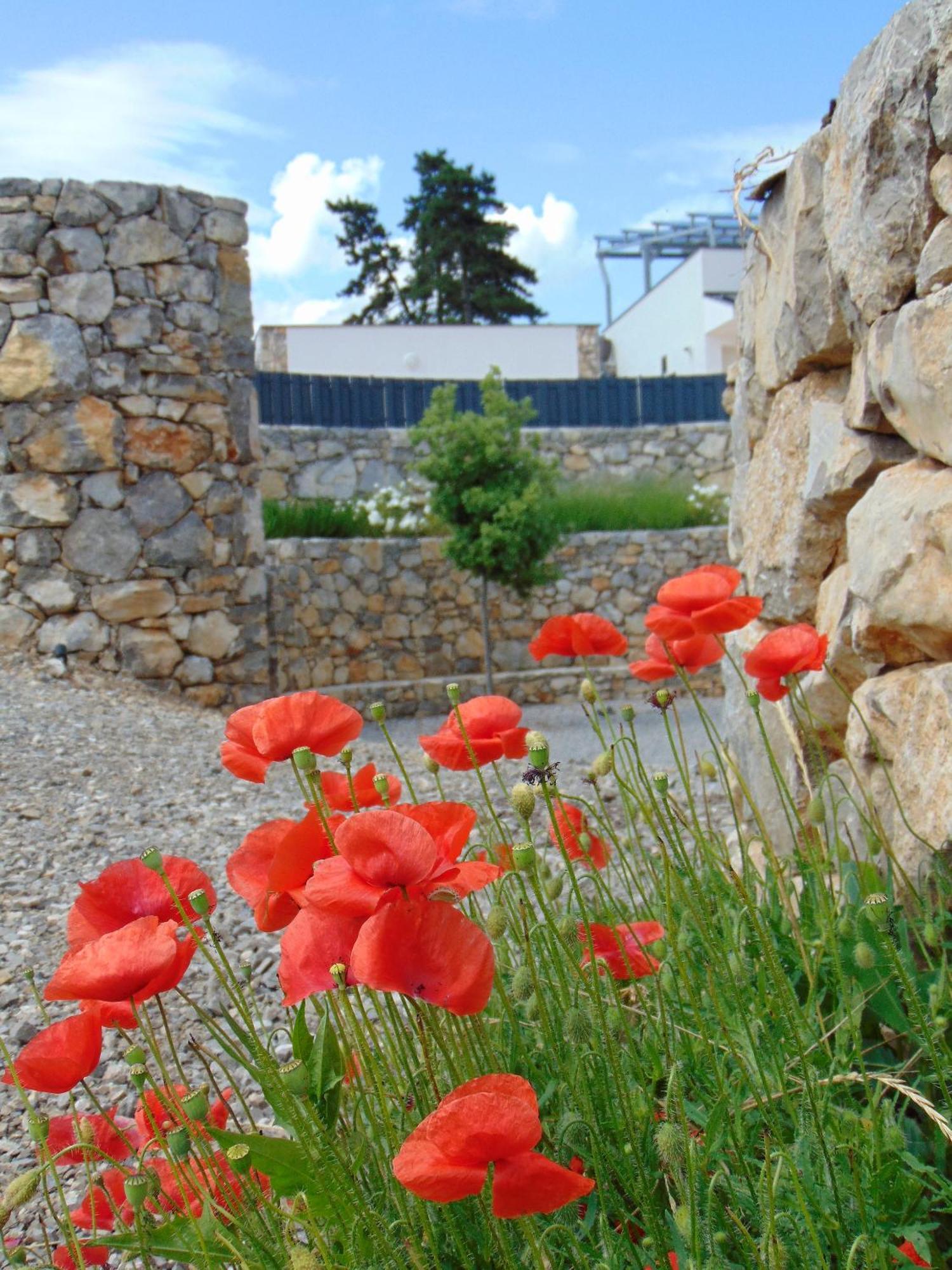 Shamare Resort **** Hrpelje Exterior photo